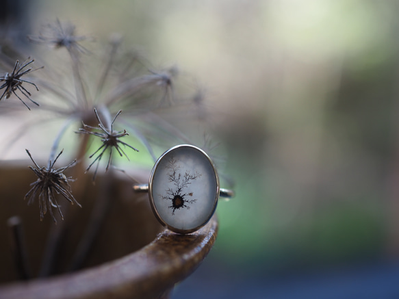 dendritic agate silver ring (mezasu) 1枚目の画像