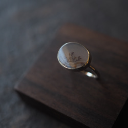 dendritic agate silver ring (kusamoe) 3枚目の画像