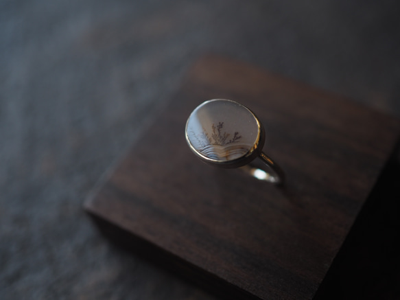 dendritic agate silver ring (kusamoe) 3枚目の画像