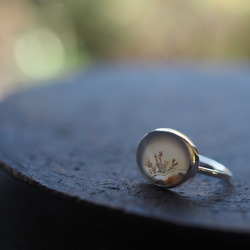 dendritic agate silver ring (kusamoe) 10枚目の画像