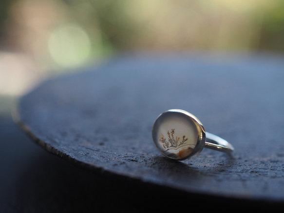 dendritic agate silver ring (kusamoe) 10枚目の画像