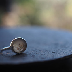 dendritic agate silver ring (kusamoe) 11枚目の画像