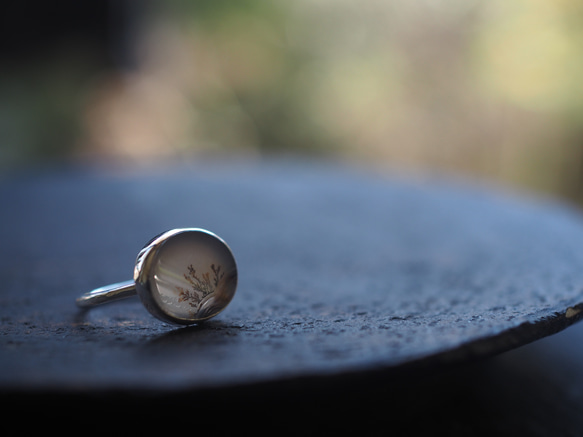 dendritic agate silver ring (kusamoe) 11枚目の画像