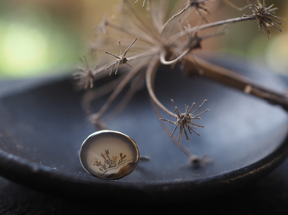 dendritic agate silver ring (kusamoe) 1枚目の画像