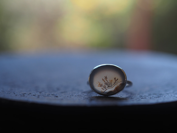 dendritic agate silver ring (kusamoe) 9枚目の画像
