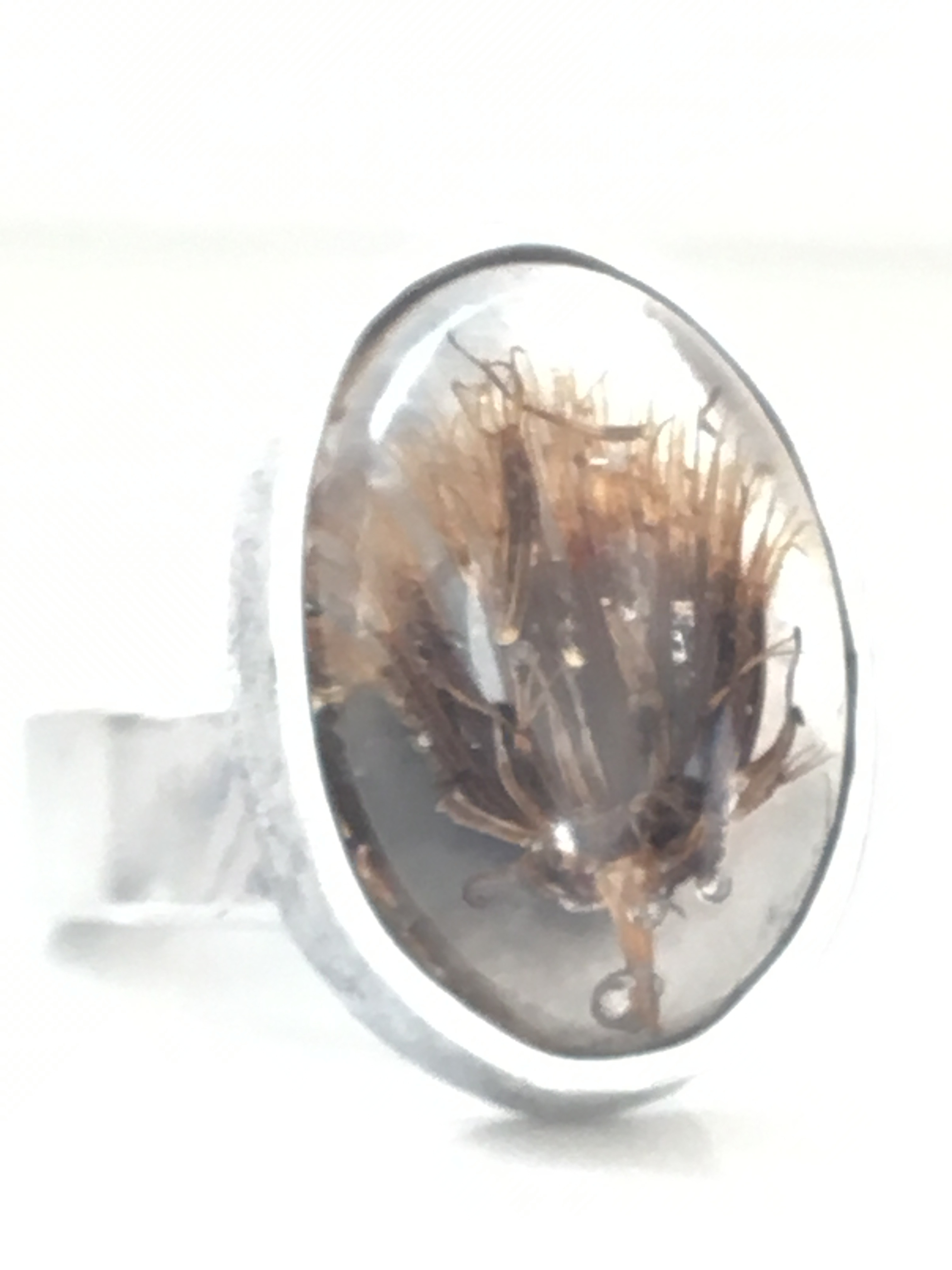 シルバーリング「What do you see there? Beauty or ugliness?」