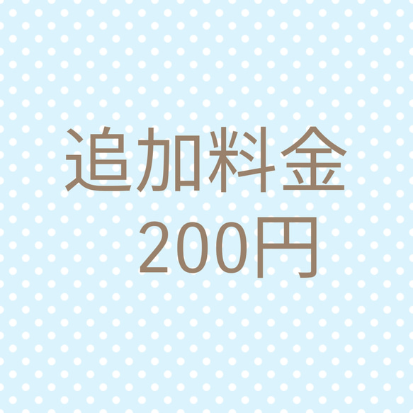 追加料金200円 1枚目の画像