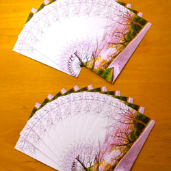 ポストカード「水俣・チェリーライン」 ２０枚セット 2枚目の画像