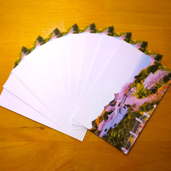ポストカード「水俣・春の福田農場」１０枚セット 2枚目の画像
