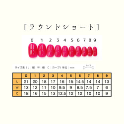 サイズ確認用チップ 3枚目の画像