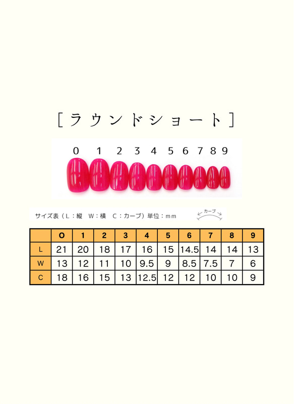 サイズ確認用チップ 3枚目の画像