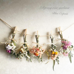 ࡛࣪⋕ ˚ポポラスユーカリ&ブルーアイスのコニファースワッグ ꙳࡛࣪