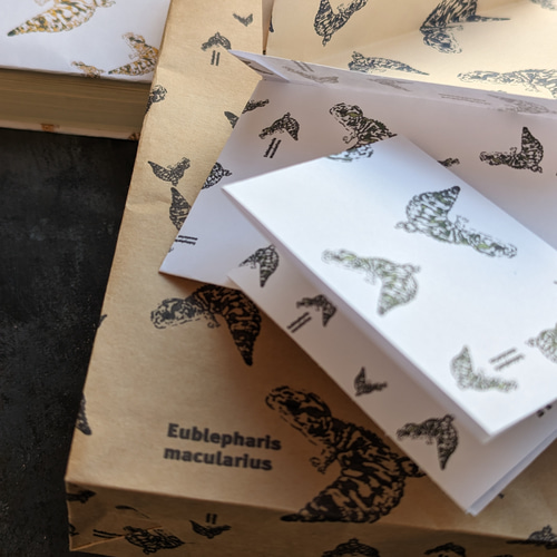 レオパ地色無地 デザインペーパー 5枚 包装紙・ラッピング