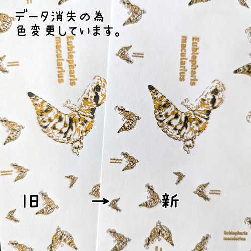 ⑨デザインペーパー 4542804123548.jpg