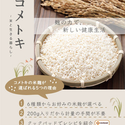 玄米こうじ 個性豊かな米麹6種をセレクト 計量不要 200g入り レシピ付き 3枚目の画像