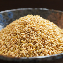 玄米こうじ 個性豊かな米麹6種をセレクト 計量不要 200g入り レシピ付き 1枚目の画像