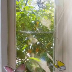 ステンドグラス　カラフルな蝶のモビール 1枚目の画像