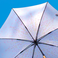 【盛開的傘】垂枝櫻花 櫻花粉色 【花雪原創】防水 第3張的照片