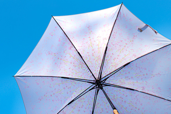 【盛開的傘】垂枝櫻花 櫻花粉色 【花雪原創】防水 第3張的照片