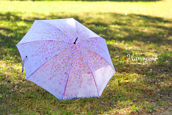 【盛開的傘】垂枝櫻花 櫻花粉色 【花雪原創】防水 第4張的照片