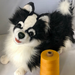 白黒長毛のチワワ ぬいぐるみ ゴリ 通販 17264910｜Creema(クリーマ)