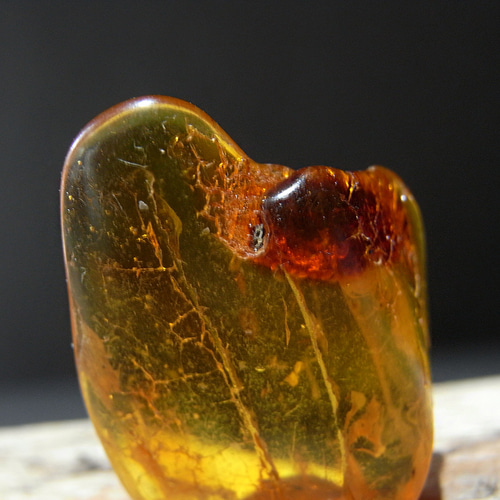 アンファンハートライト♡♡ ◎アンモライト（アンモナイト宝石化石）銀枠ペンダントトップv5 動画