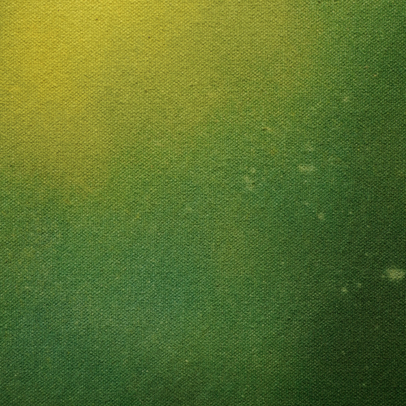 [含羞草花]室內藝術-黃綠色時令花卉(F-#4) 第6張的照片