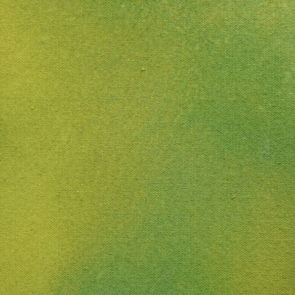 [感受含羞草] 繪畫 - 黃綠色花朵圖案 (F-#5) 第5張的照片