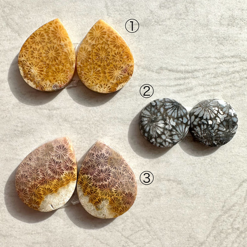 フォッシルコーラル（サンゴの化石）ペア【CRL030-032】②Sold 天然石