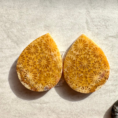 フォッシルコーラル（サンゴの化石）ペア【CRL030-032】②Sold 天然石