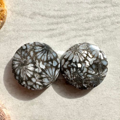 フォッシルコーラル（サンゴの化石）ペア【CRL030-032】②Sold 天然石