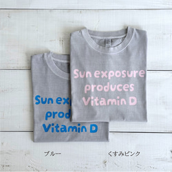 ビタミン ロゴTシャツ（ヴィンテージクールグレー） 13枚目の画像