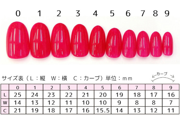 【サイズオーダー】 ネイルチップ　ニュアンス　桜　春　 7枚目の画像