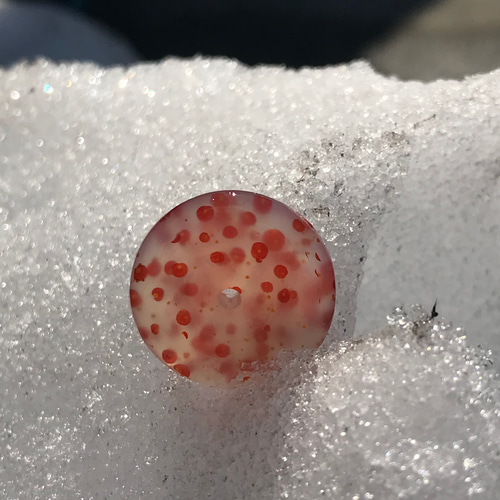 ゴビ石−1205 ゴビ瑪瑙『平安扣』 水玉模様ペンダントトップ