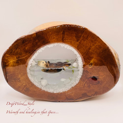 一つ限りの流木アート 海に浮かぶラッコ ジオラマ 流木 フィギュア 置物 インテリア レジン テラリウム 生き物 N17 7枚目の画像