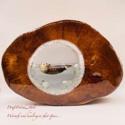 一つ限りの流木アート 海に浮かぶラッコ ジオラマ 流木 フィギュア 置物 インテリア レジン テラリウム 生き物 N17 6枚目の画像