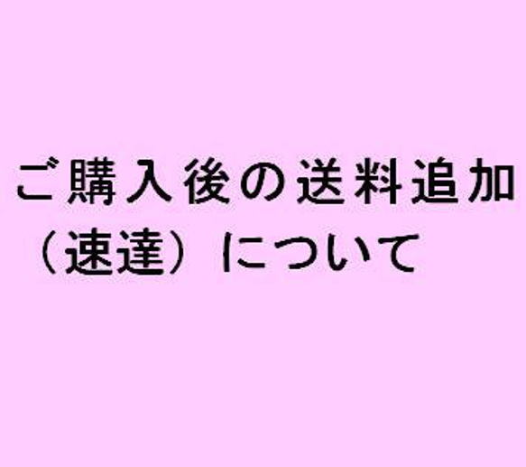 ご購入後の追加送料（速達）について 1枚目の画像