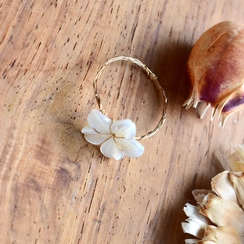 K14シェル？フラワーリング Shell Flower Ring S Silver