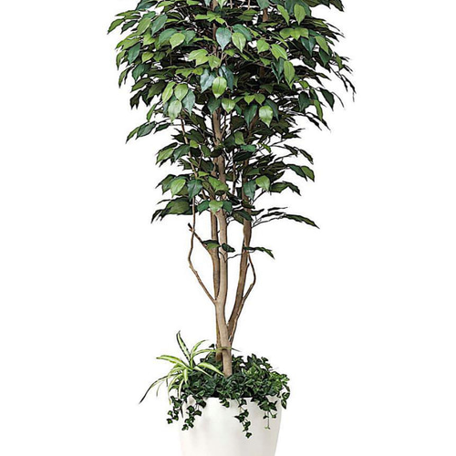 光触媒 人工観葉植物 ウォールグリーン フェイクグリーン