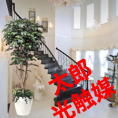 光触媒 人工観葉植物 ウォールグリーン フェイクグリーン ベンジャミン 