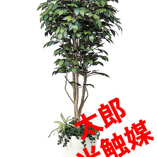光触媒 人工観葉植物 ウォールグリーン フェイクグリーン
