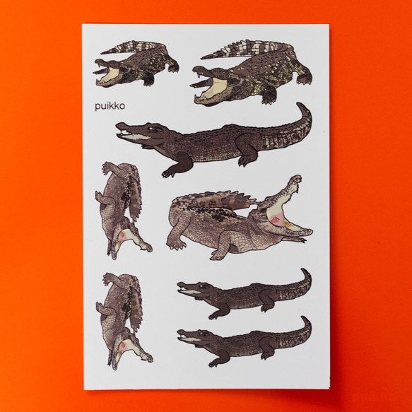 鱷魚紋身貼紙 第1張的照片