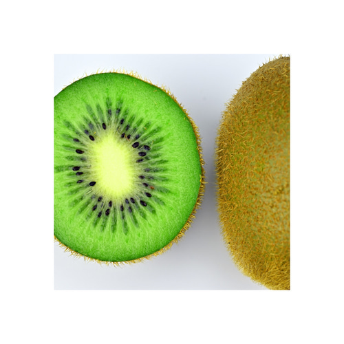 送料無料】キウイフルーツ断面と外側（sq2402002） 写真