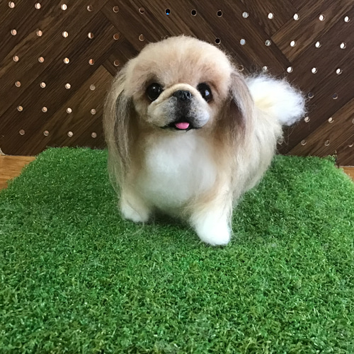 ペキニーズ（パーティーカラー❣️） 羊毛フェルト コーギー