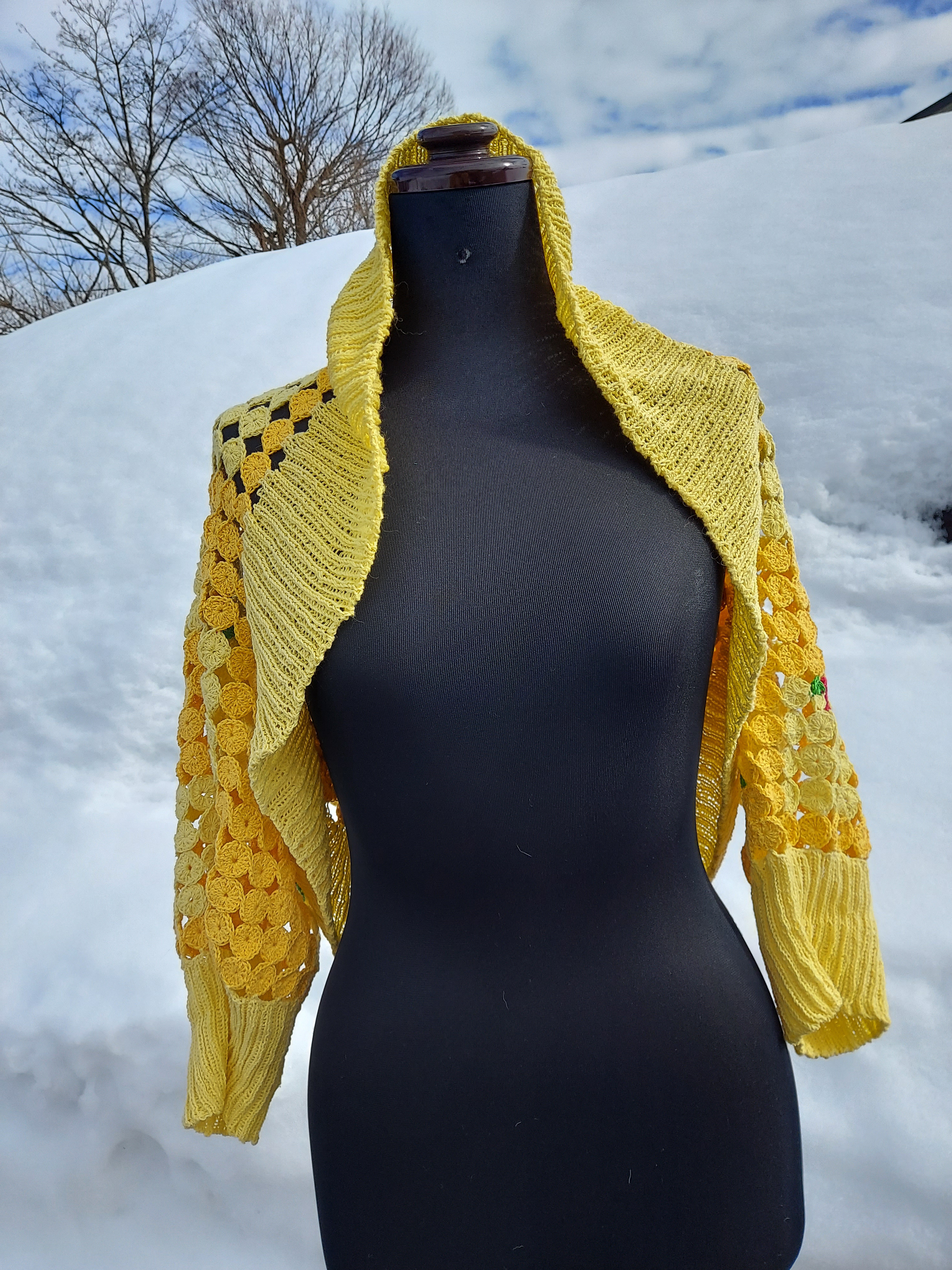 ミモザと赤い実のボレロ