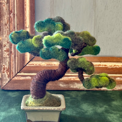 松の盆栽/bonsaiオブジェ その他置物 Sugar Maple 通販 17267814