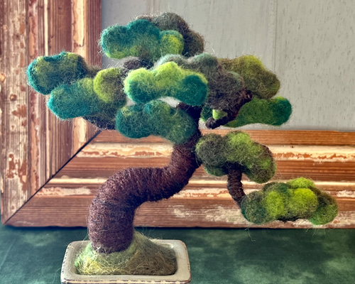 松の盆栽/bonsaiオブジェ その他置物 Sugar Maple 通販 17267814