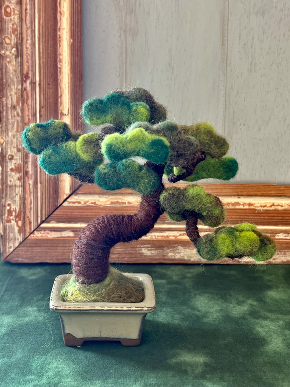 松の盆栽 松の盆栽/bonsaiオブジェ その他置物 Sugar Maple 通販 17267814