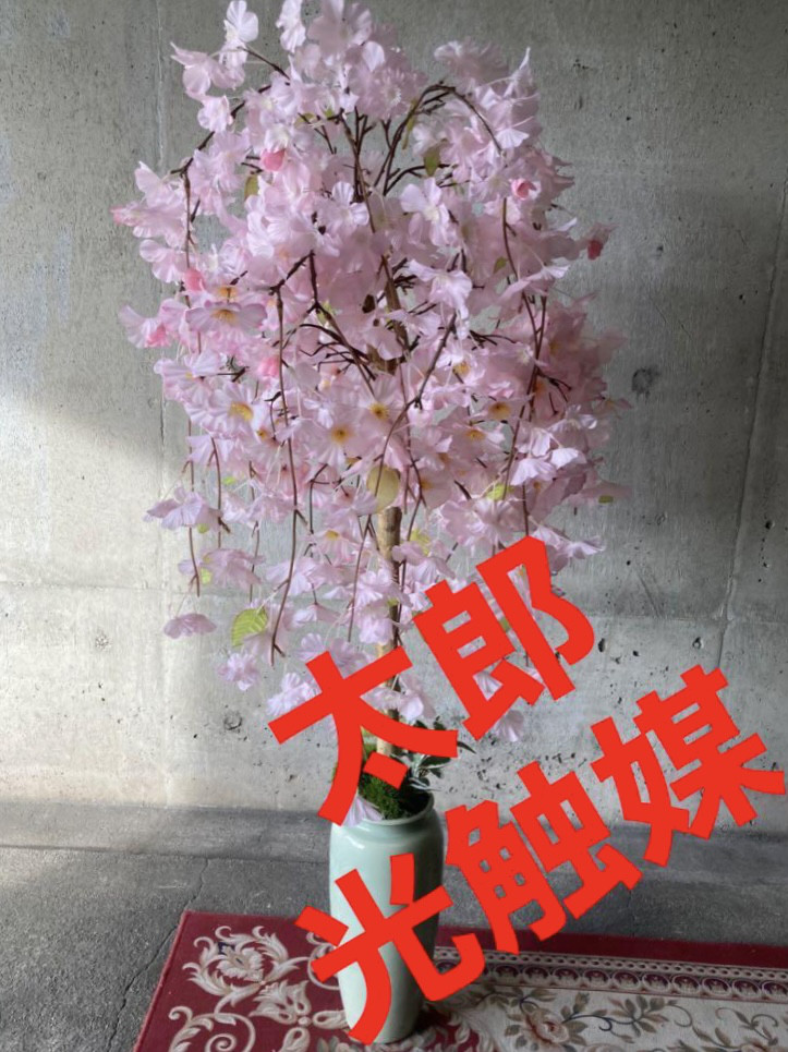 光触媒 人工観葉植物 ウォールグリーン フェイクグリーン 桜さくら@g
