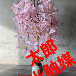 光触媒　人工観葉植物　ウォールグリーン　フェイクグリーン　桜 コアッド 230 光触媒 人工観葉植物 ウォールグリーン フェイクグリーン 桜さくら@g